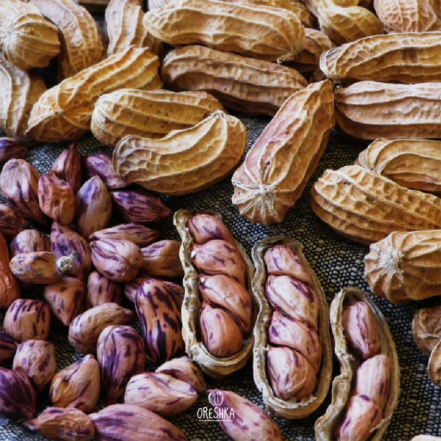 Wild Striped Peanut Arachis agrestis striata seeds