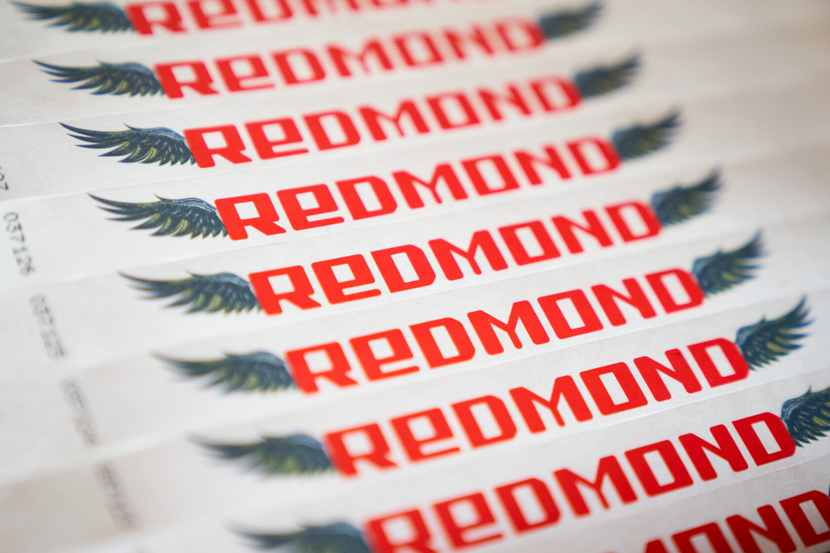 REDMOND ROCK FEST — фото 8