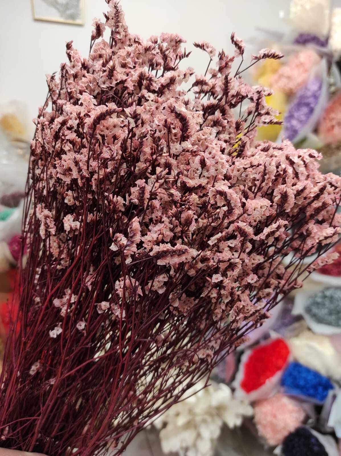 сухоцвет лимониум