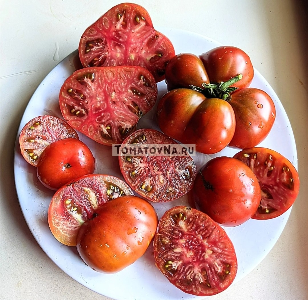 Томат Король Арамис (гном) семена