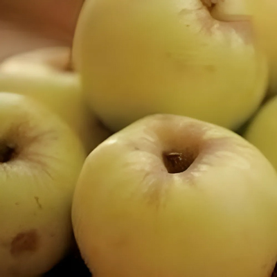 Слаще антоновки. Яблоки антоновка. Слаще антоновки. Яблоня антоновка полуторафунтовая. Антоновка (сортотип яблони).