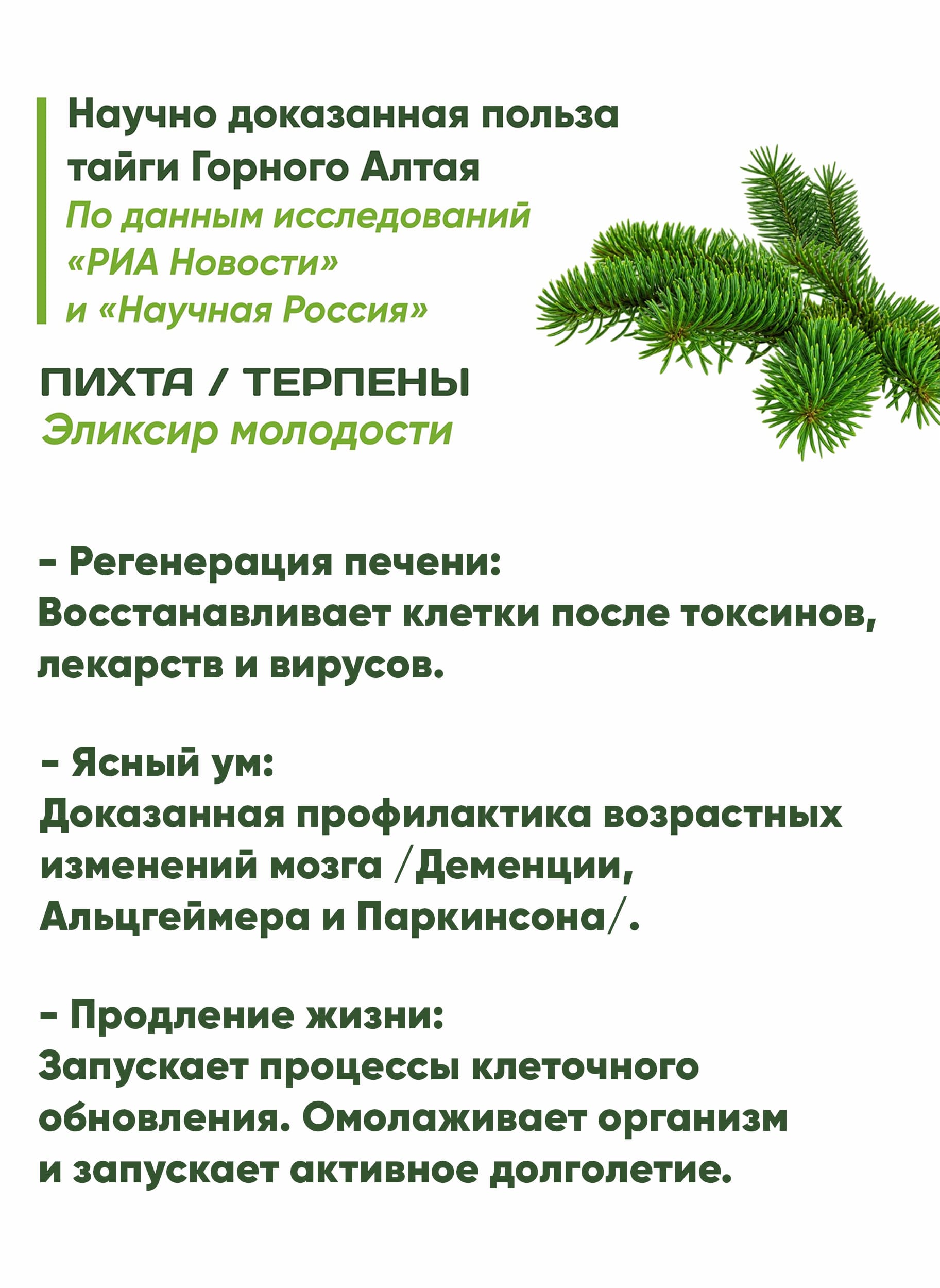 Пихта / Терпены. Эликсир молодости - 7МИРЪ