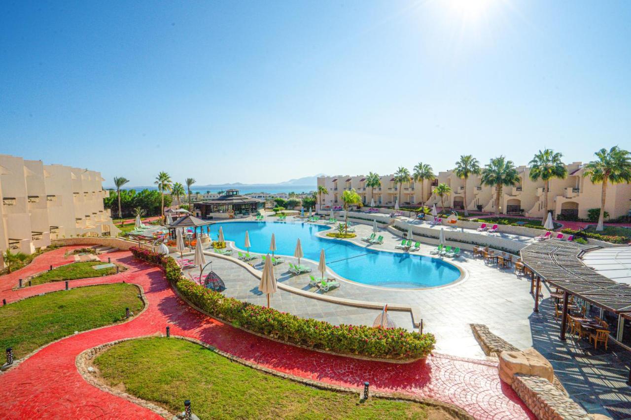 Cyrene sharm отзывы. Ivy Cyrene Sharm 4. Ivy Cyrene Sharm. Ivy Cyrene Island Hotel 4. Ivy Cyrene Island Hotel 4* Египет, Шарм-Эль-Шейх.