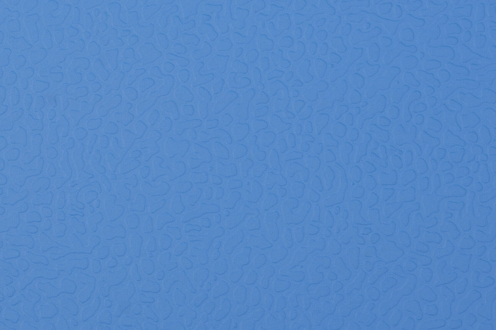 �������� ����� ���� �����: ����.