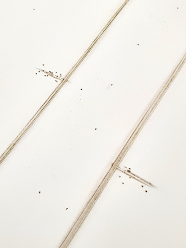 Стол  Miranda&Serena   обеденный DF801 (S02)  