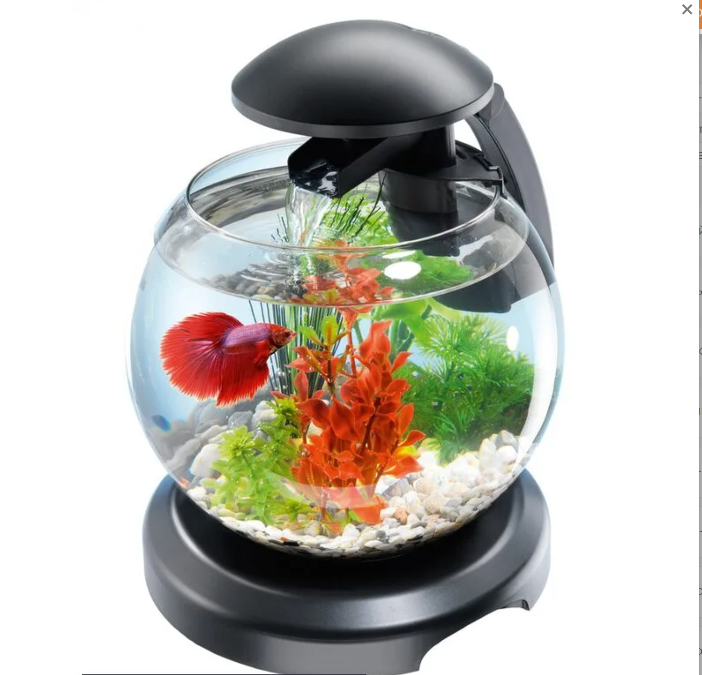 Рыба в круглом аквариуме. Аквариум Tetra Cascade Globe. Tetra Cascade Globe аквариумный комплекс черный 6,8 л.