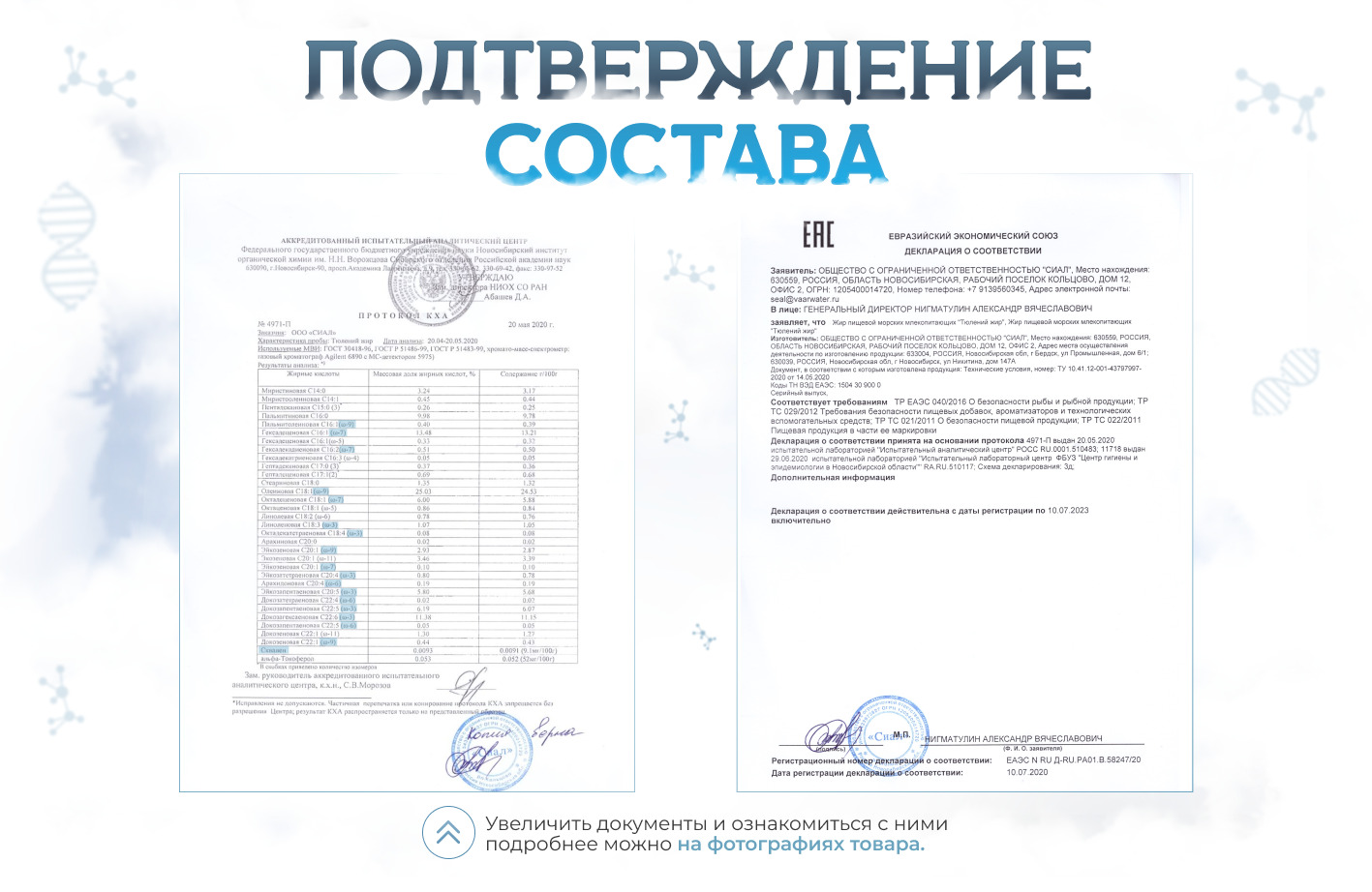 Текстовое описание изображения
