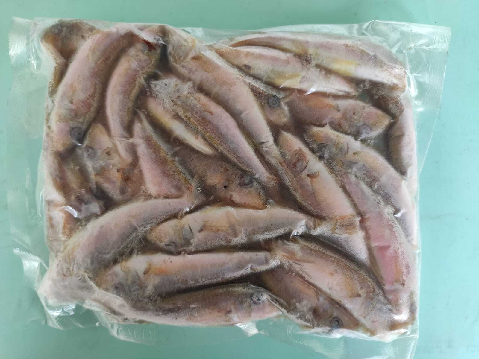 рыба барабулька фото цена