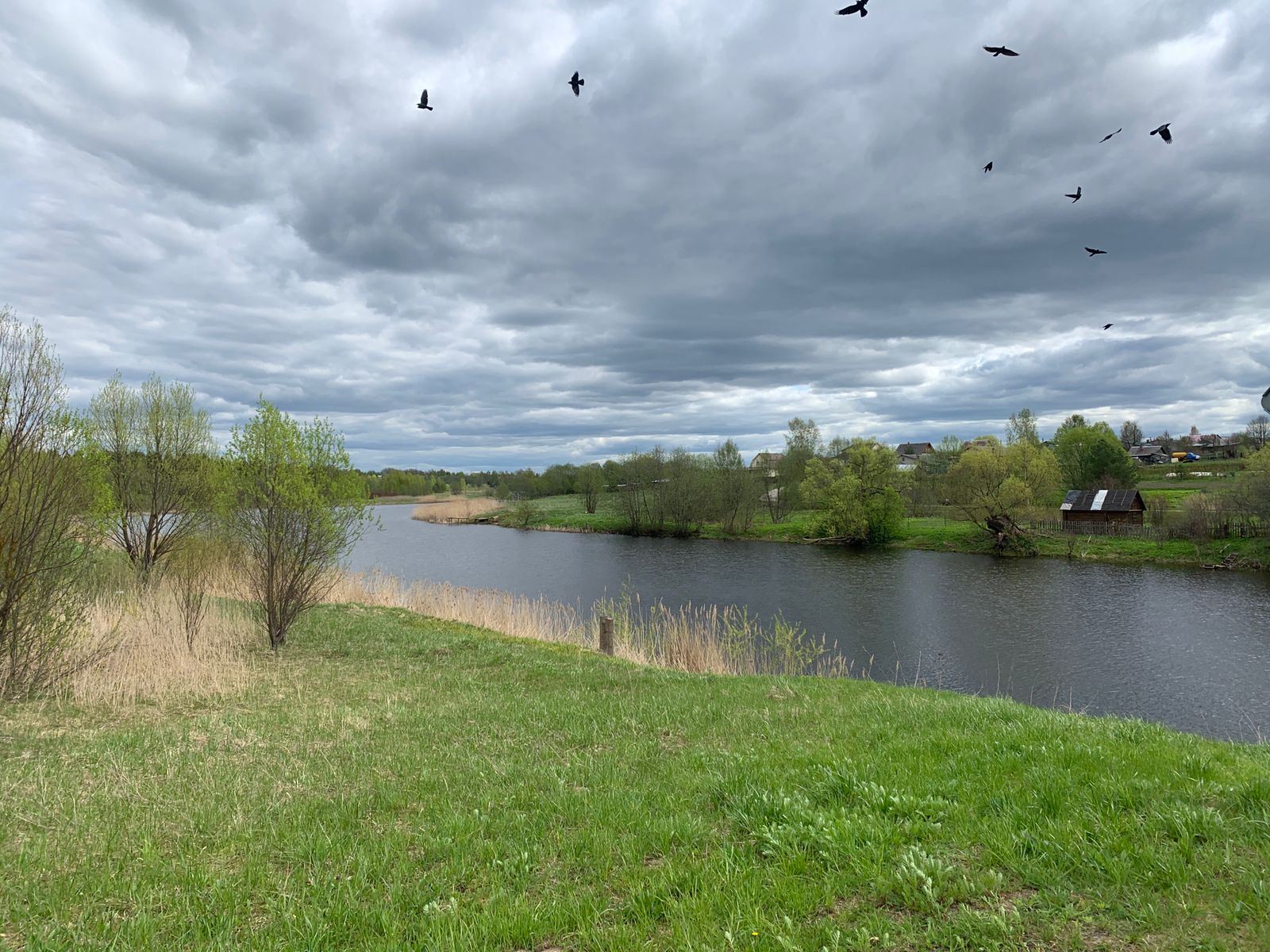 Купить Участок В Андрианово Тосненский Район