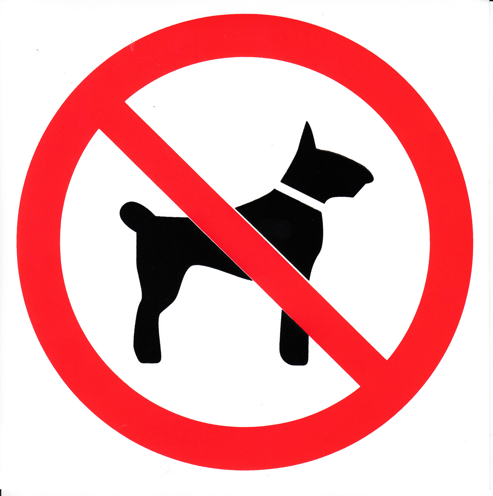 На территории проход с животными запрещен. Запрещается вход (проход) с животными. Вход с собаками запрещен.