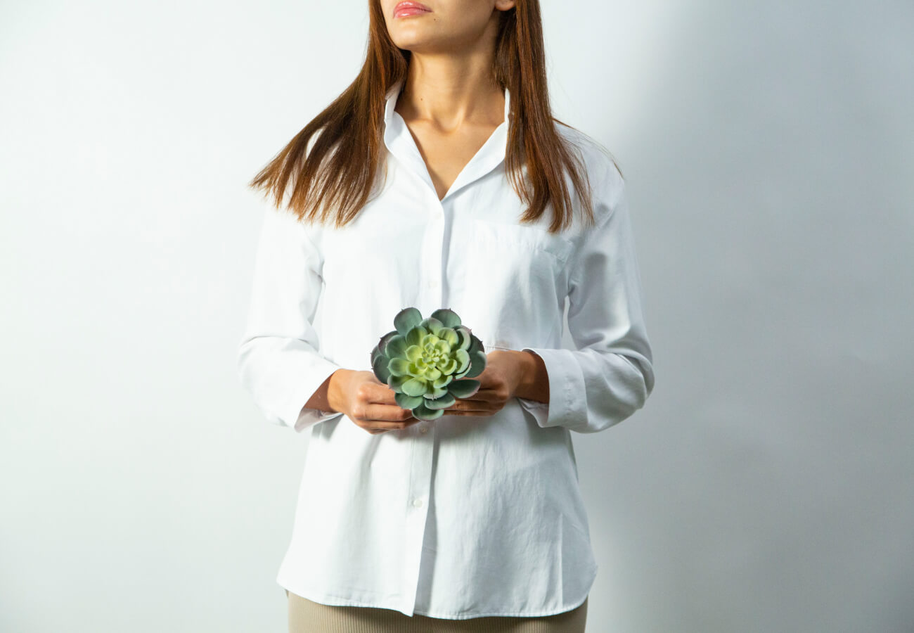 Суккулент Эхеверия 15 см