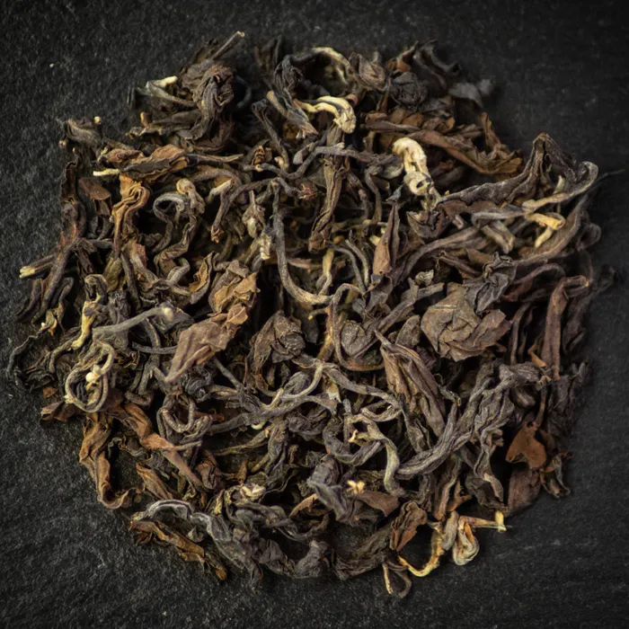 Hong Cha Gushu Old Wood 500 + y.