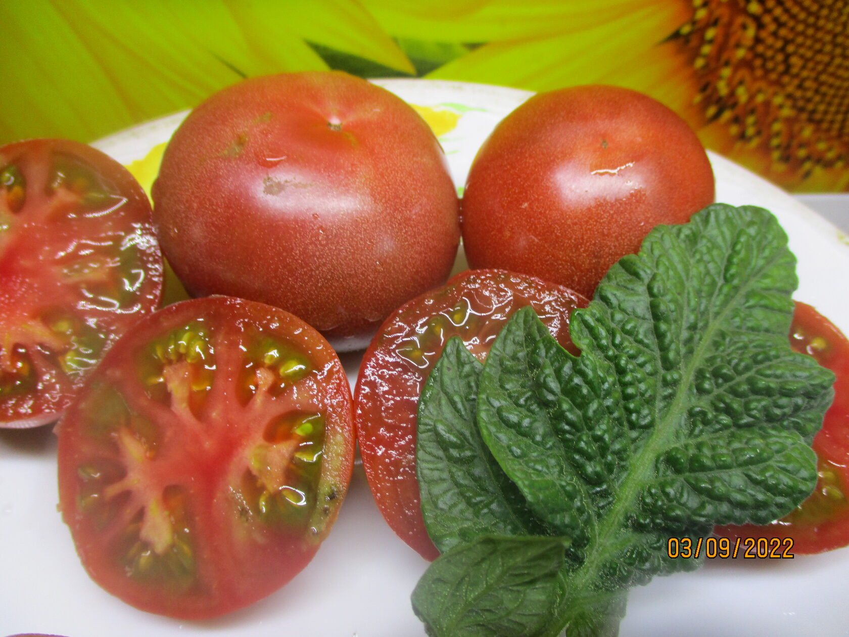 871. Томатный Гном Мечта Хейзи.