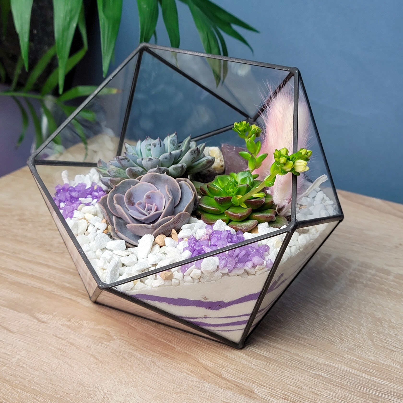 Флорариум Купить В Москве