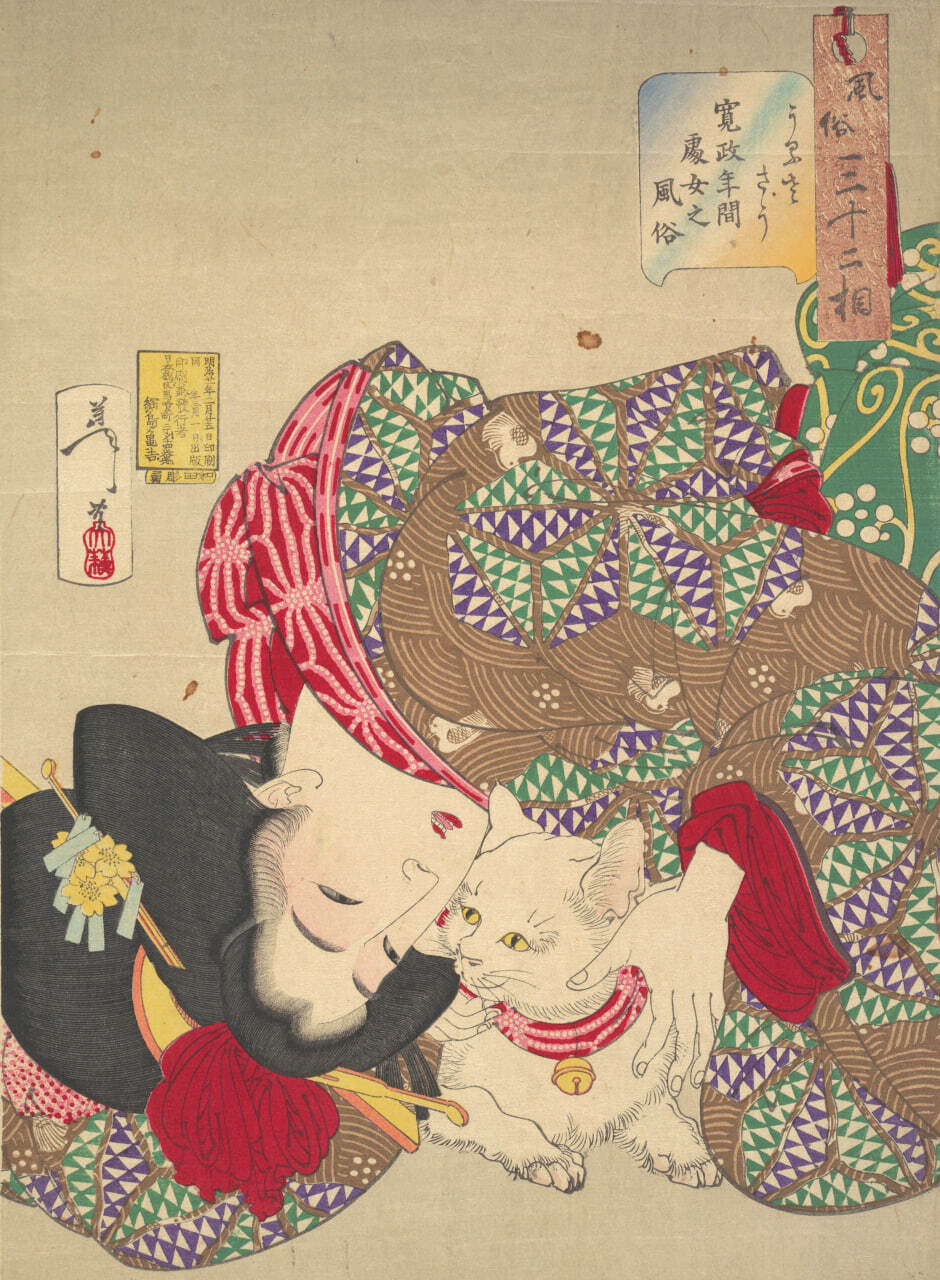 Тисканье кота