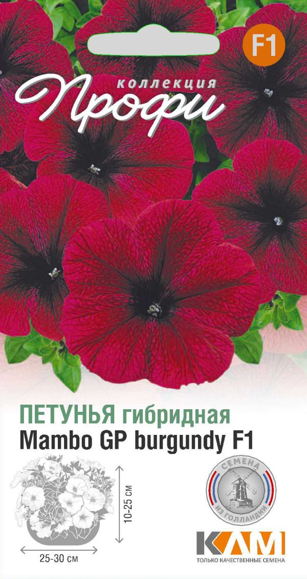 Петуния мамбо отзывы. Петуния Мамбо f1 бургунди. Семена петуньи любые. Картинка Petunia Mambo f1.