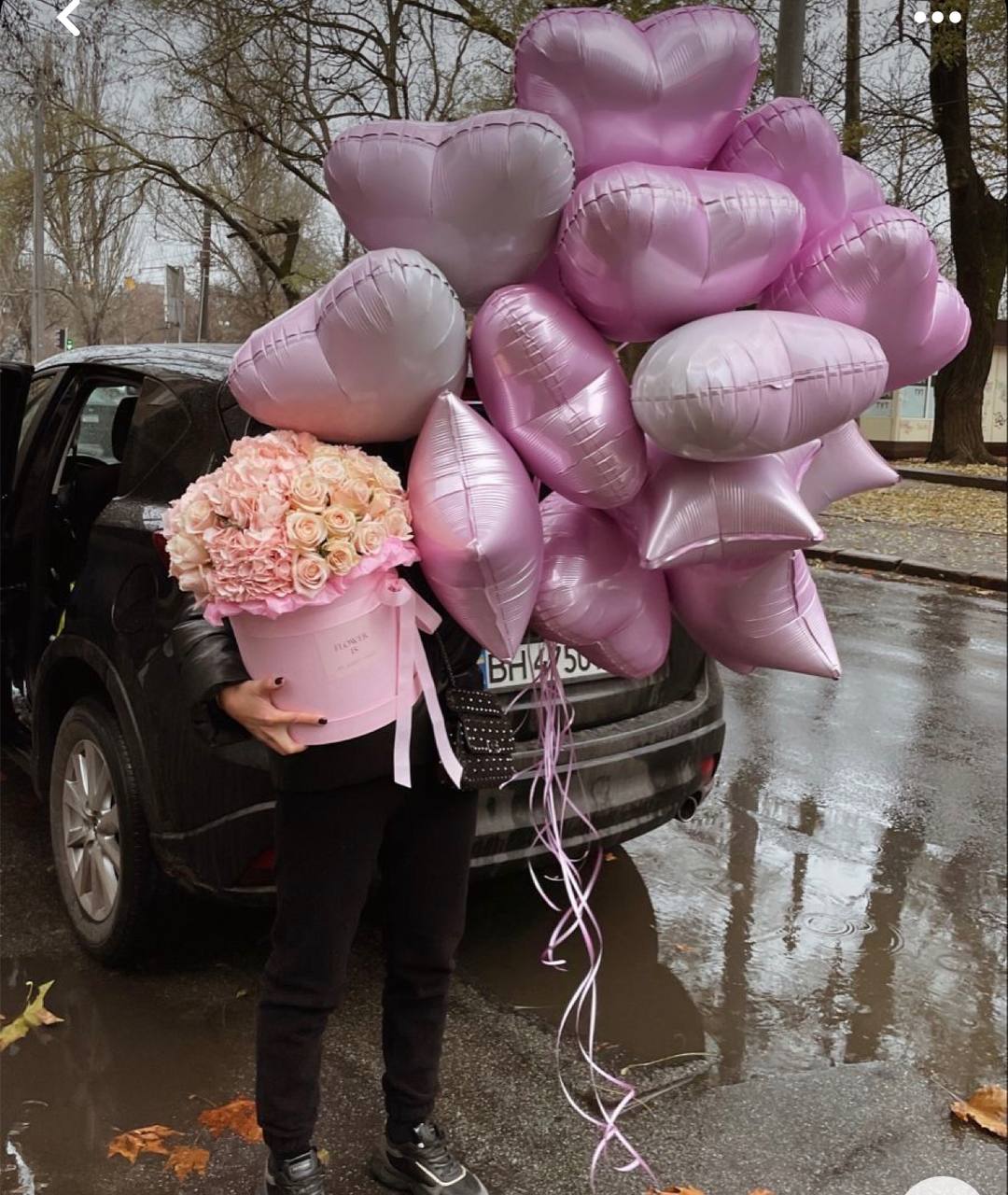 Нежный котик