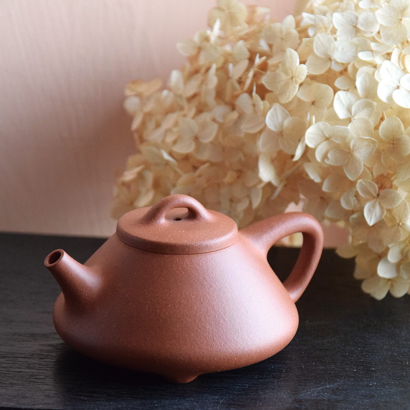 Чайник Ши Пяо "Охра"