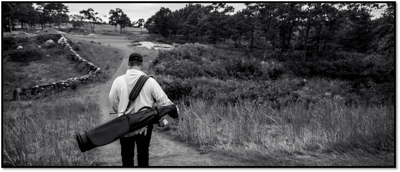 Сумка для гольфа Titleist Linkslegend Carry