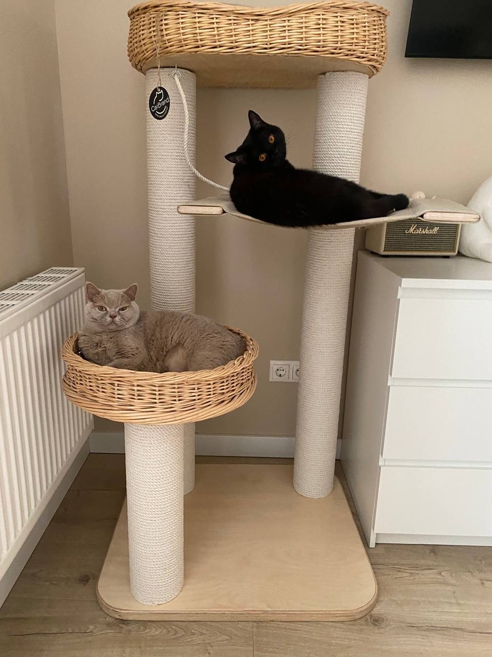 Комплекс Марс