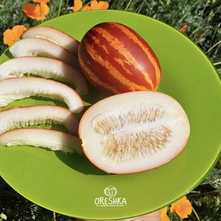 Vietnamese melon fruits orange yellow stripes harvest basket close up