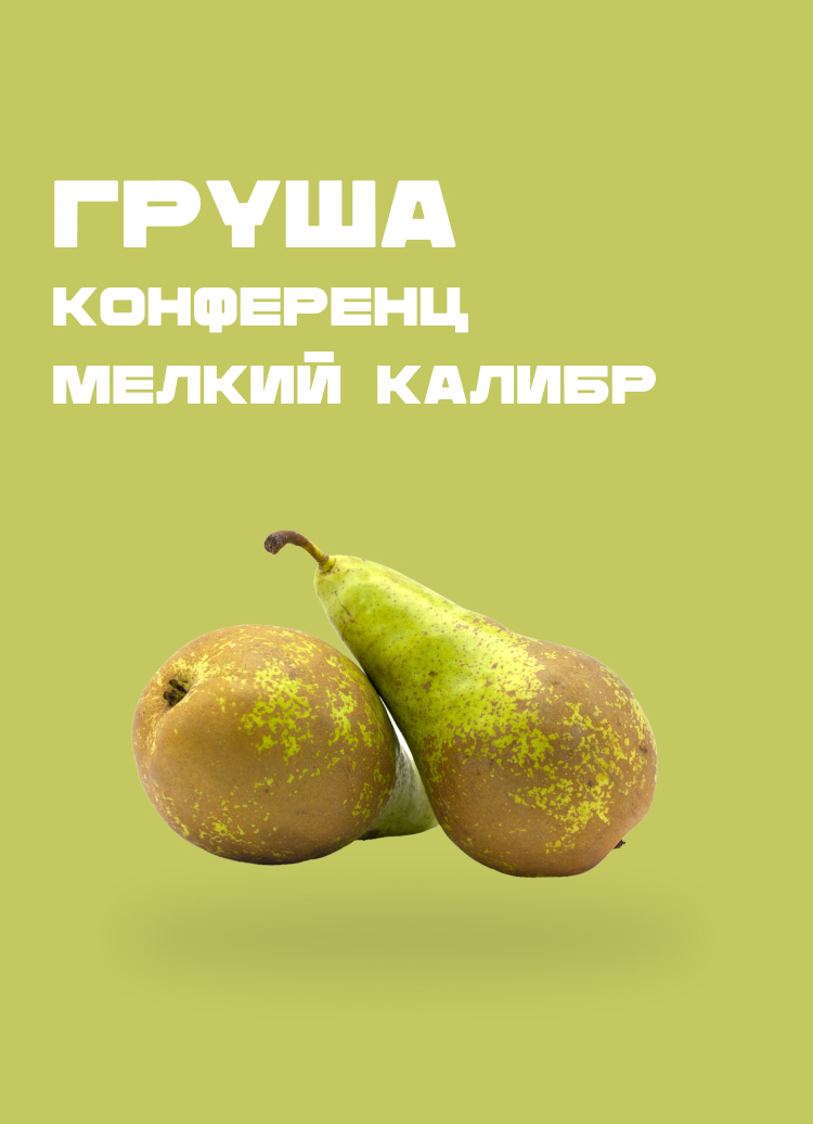 Груша Конференция Фото