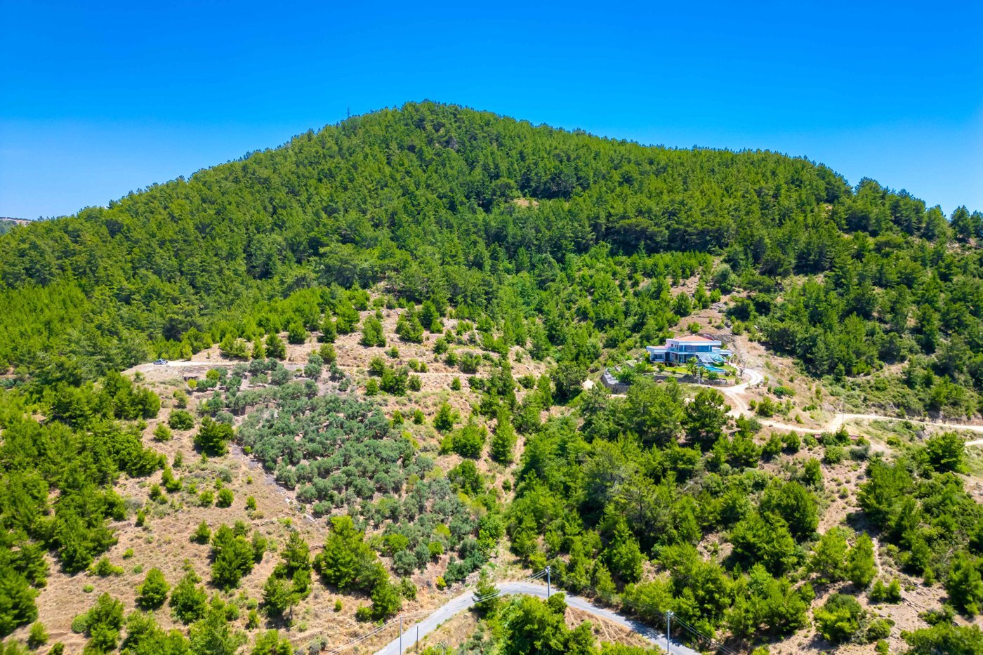 Koru 1159-15 · 2875 m² — zdjęcie 3
