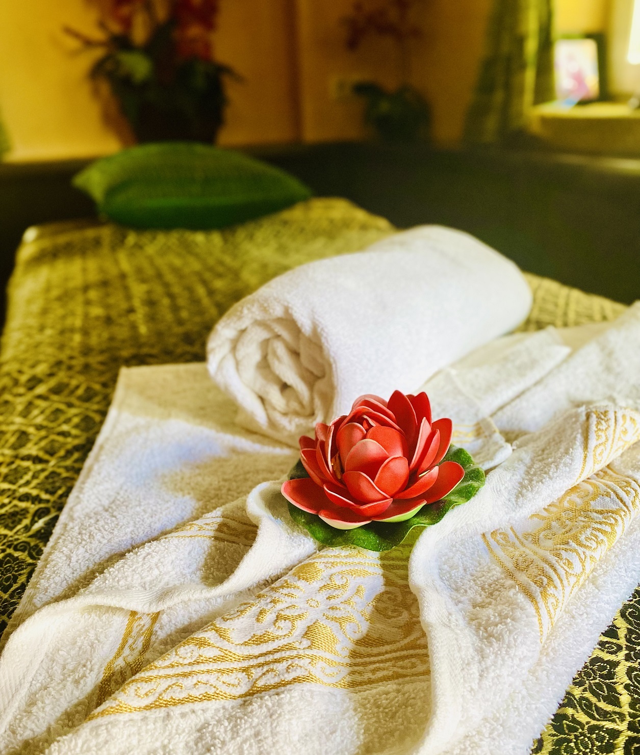 Тай манго подольск. Спа подольск парадайз подарочки. Thai mango подольск. Mango taxi armenia. Манго климовск.