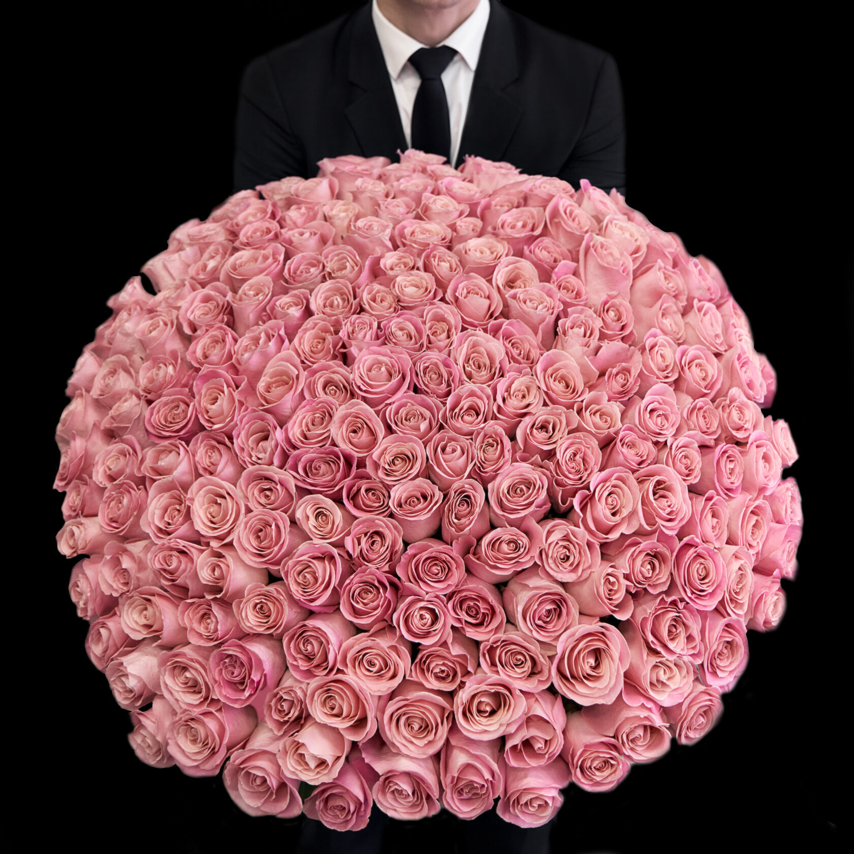 Bouquet of 201 pale pink Ecuadorian roses