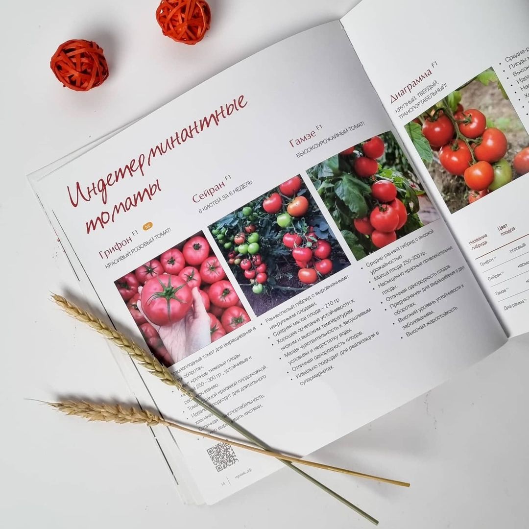 Печать каталогов и листовок