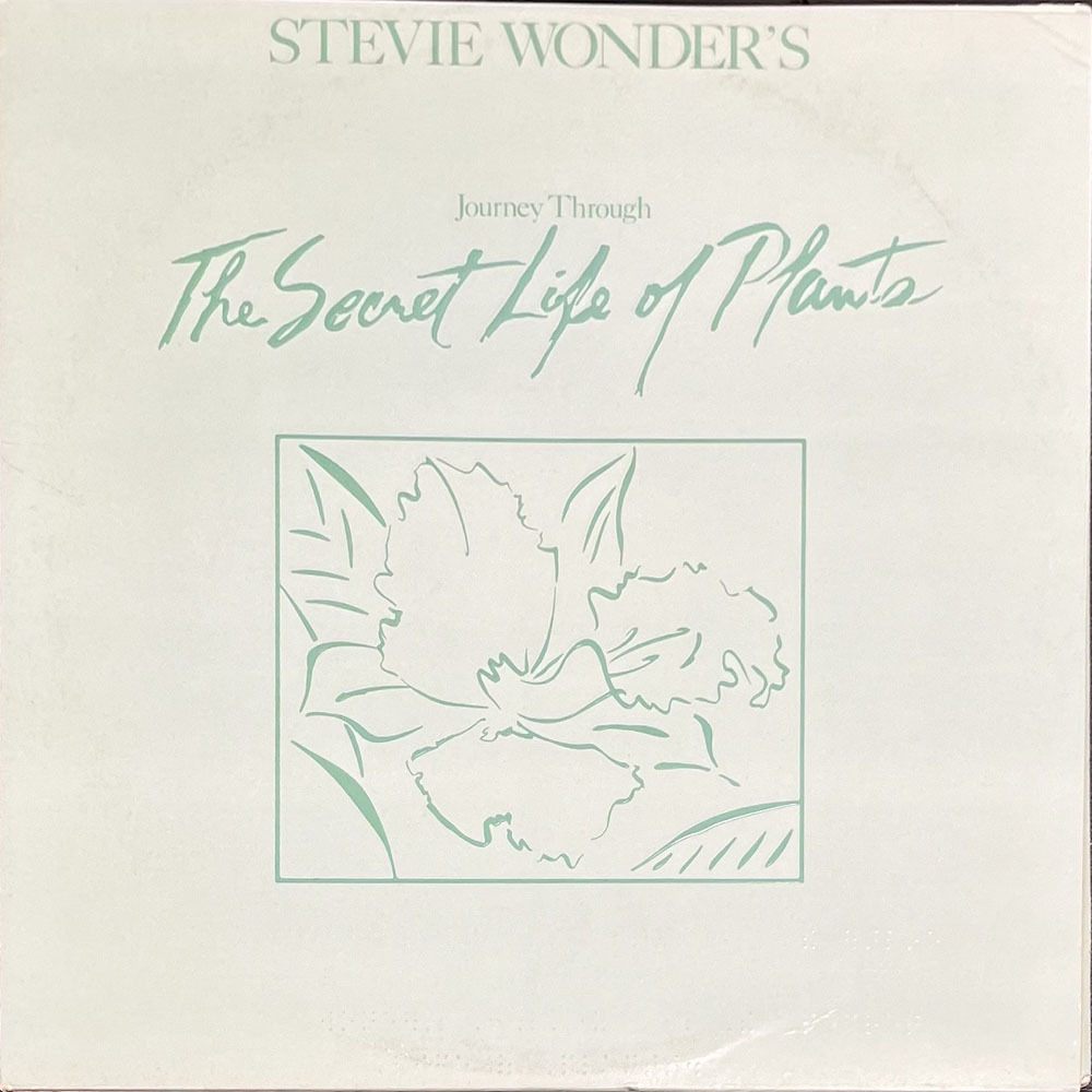 Wonder Stevie — Stevie Wonder's Journey Through The Secret Life Of Plants