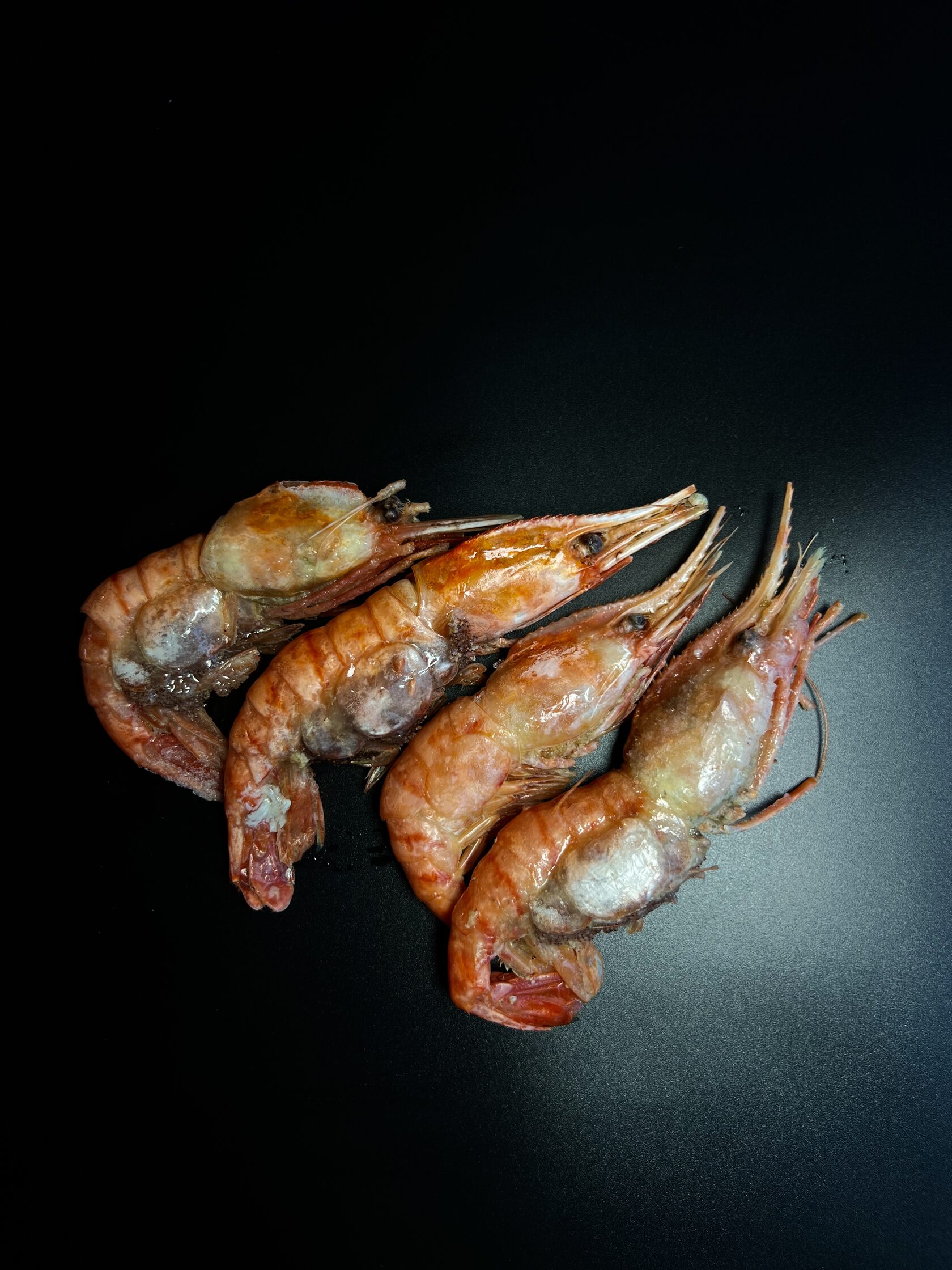 Креветка БОТАН крупный