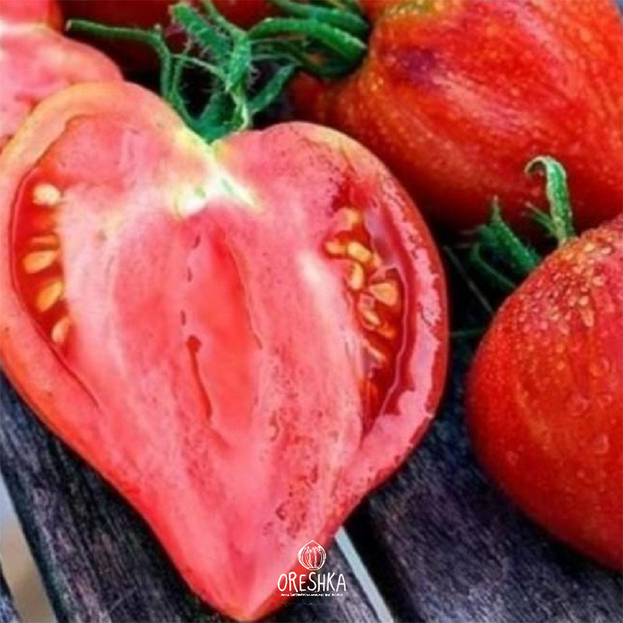 Heart shaped crushed heart tomato anthocyanin violet blue shoulders ripe