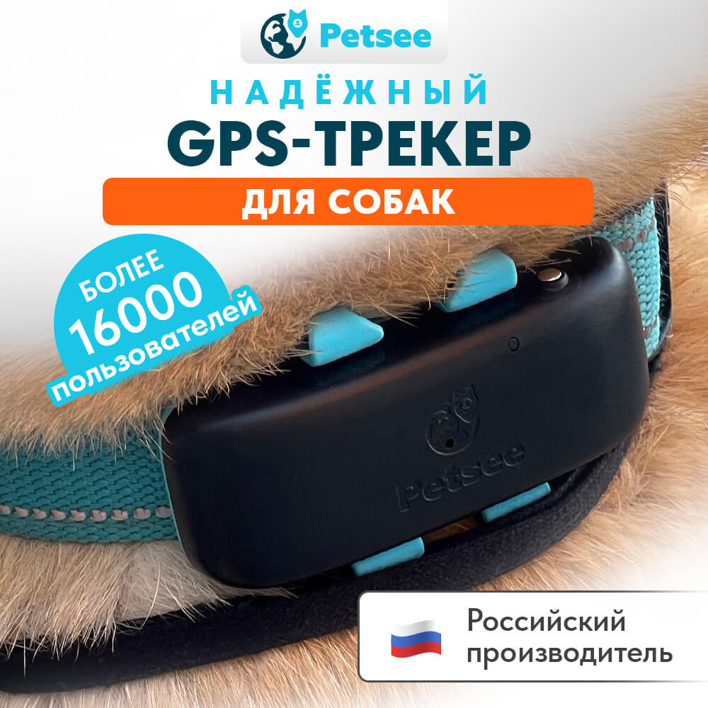 GPS-ошейник (трекер) для собак Petsee купить на официальном сайте, цена,  отзывы