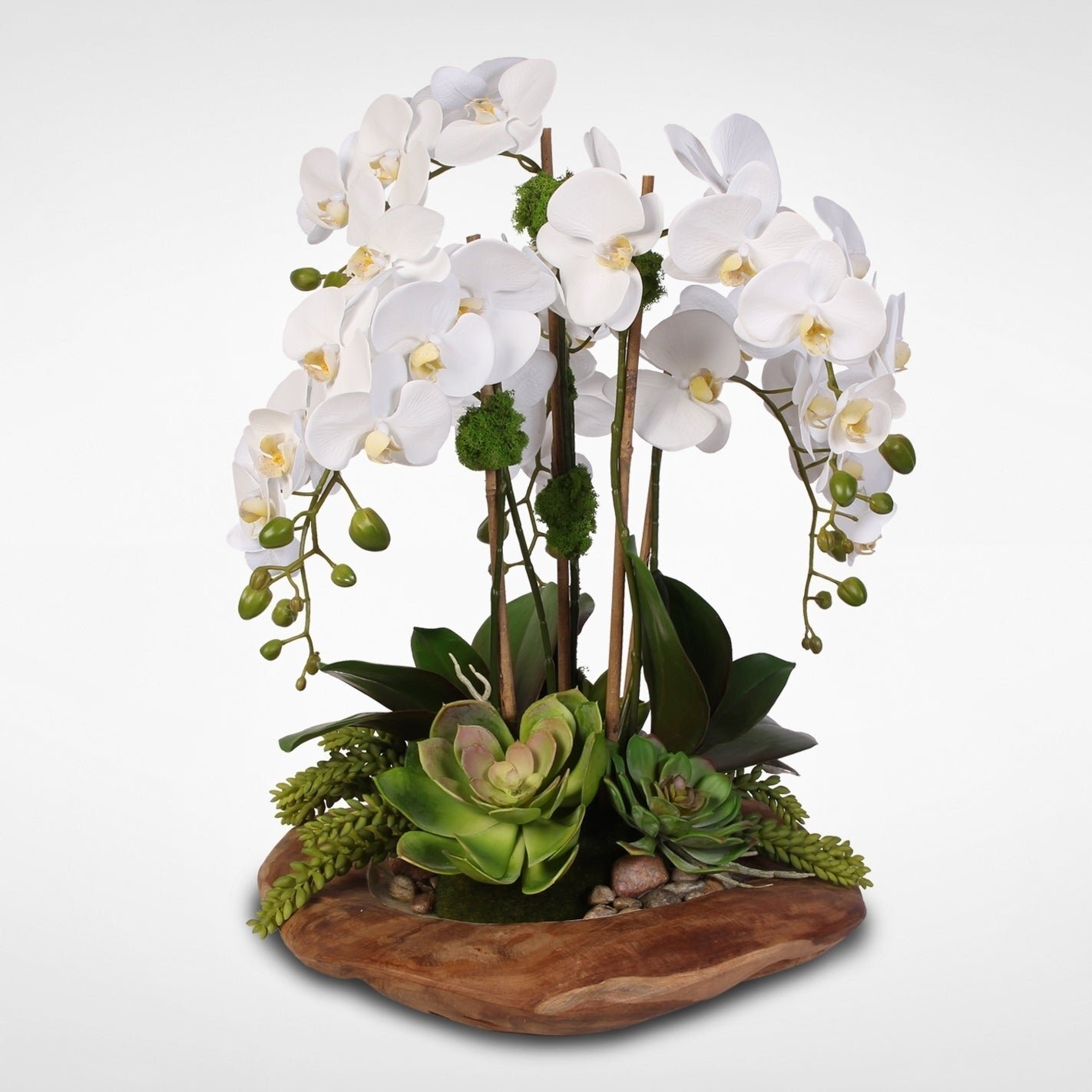 Композиции с орхидеей фаленопсис. Силк Орхидея. Орхидея фаленопсис Silk. Орхидея фаленопсис Snowball.