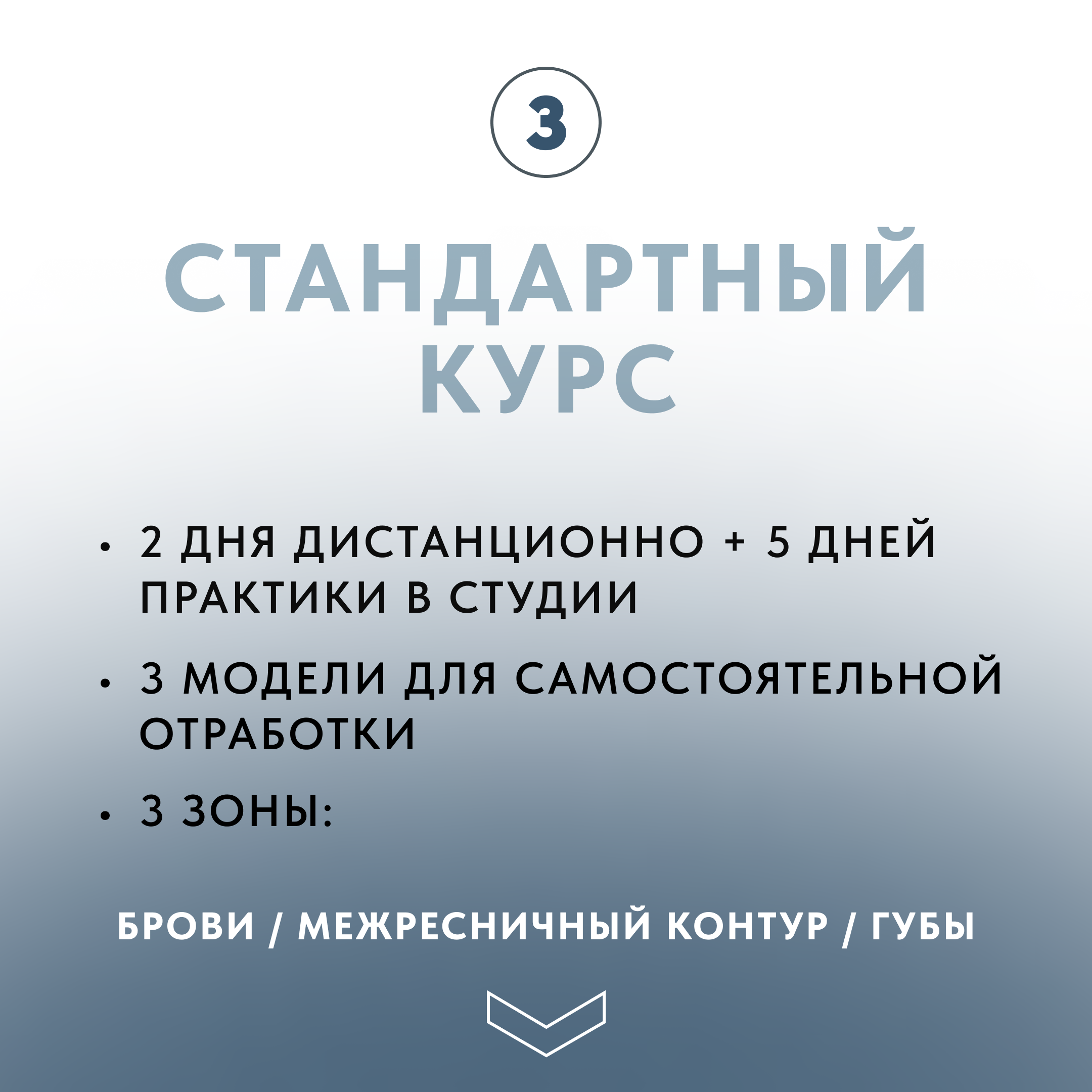 Стандарт курс