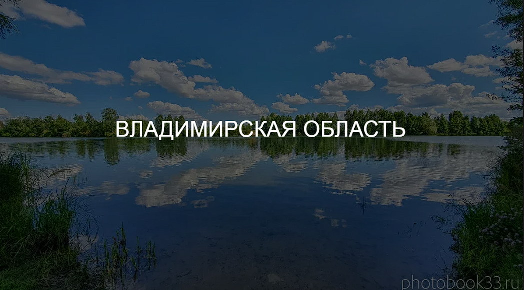 Владимирская область: анализ рынка