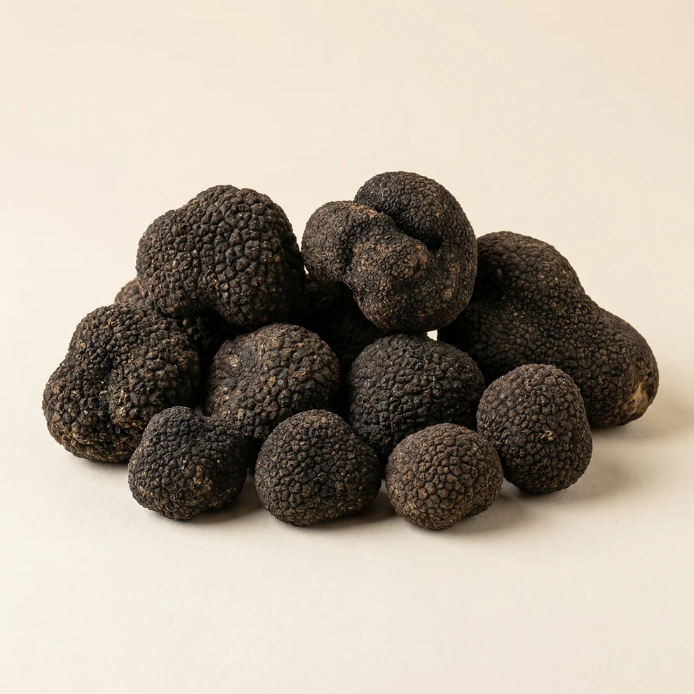 Летний чёрный трюфель Tuber aestivum — фото 4