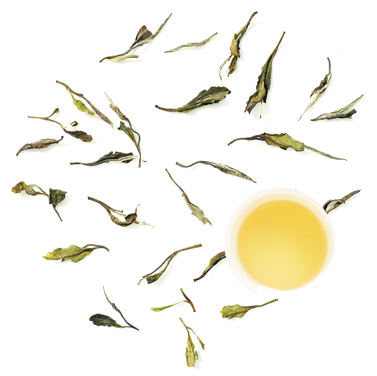 дикий бай му дань из Фудина 2023