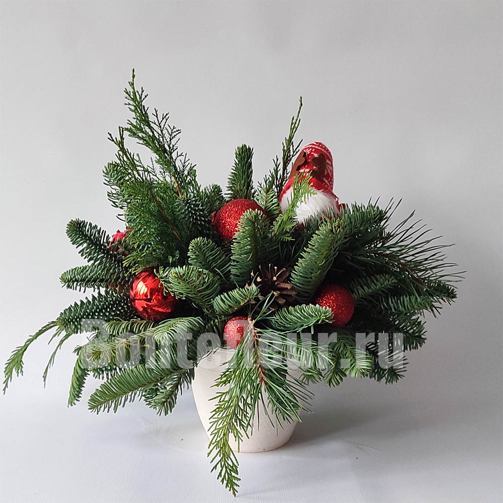 Композиция из нобилиса с туей красная маленькая