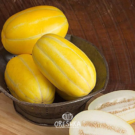 Seeds of Melon early Silverline (Cucumis melo) — 5 pcs