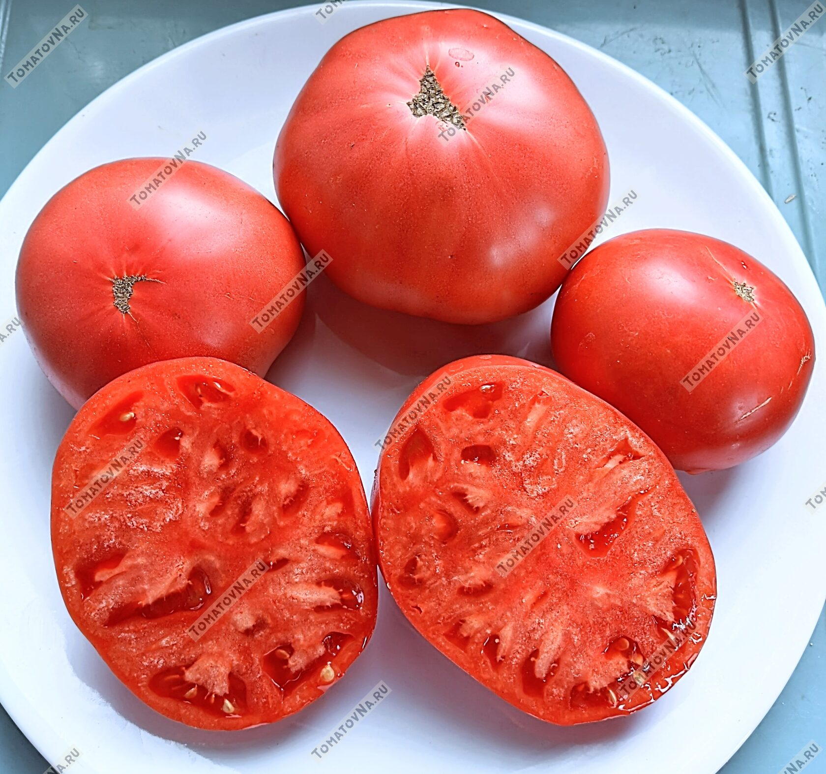 Томат Розелла малиновая (кримсон) гном