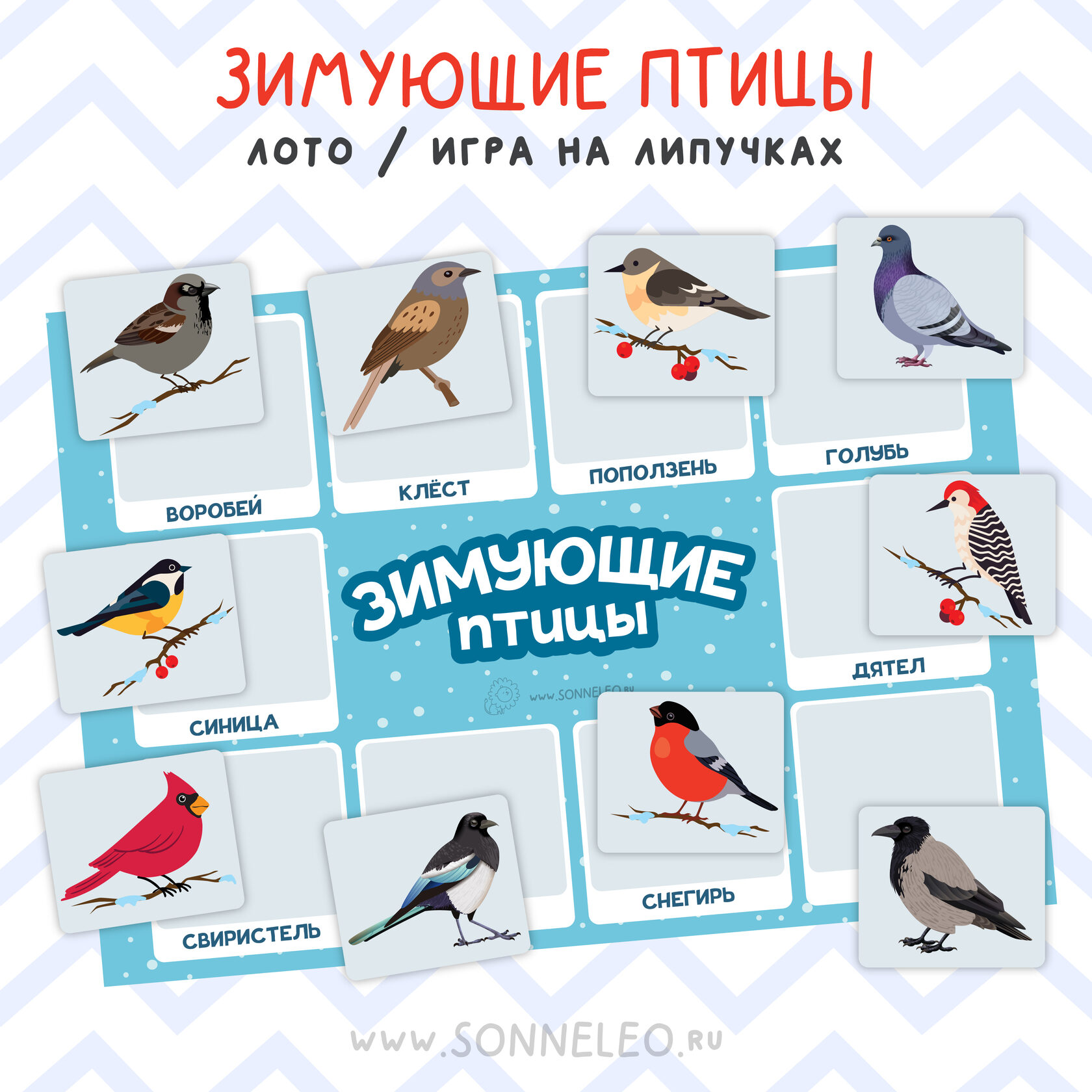 птицы сибири картинки и названия птиц зимующие