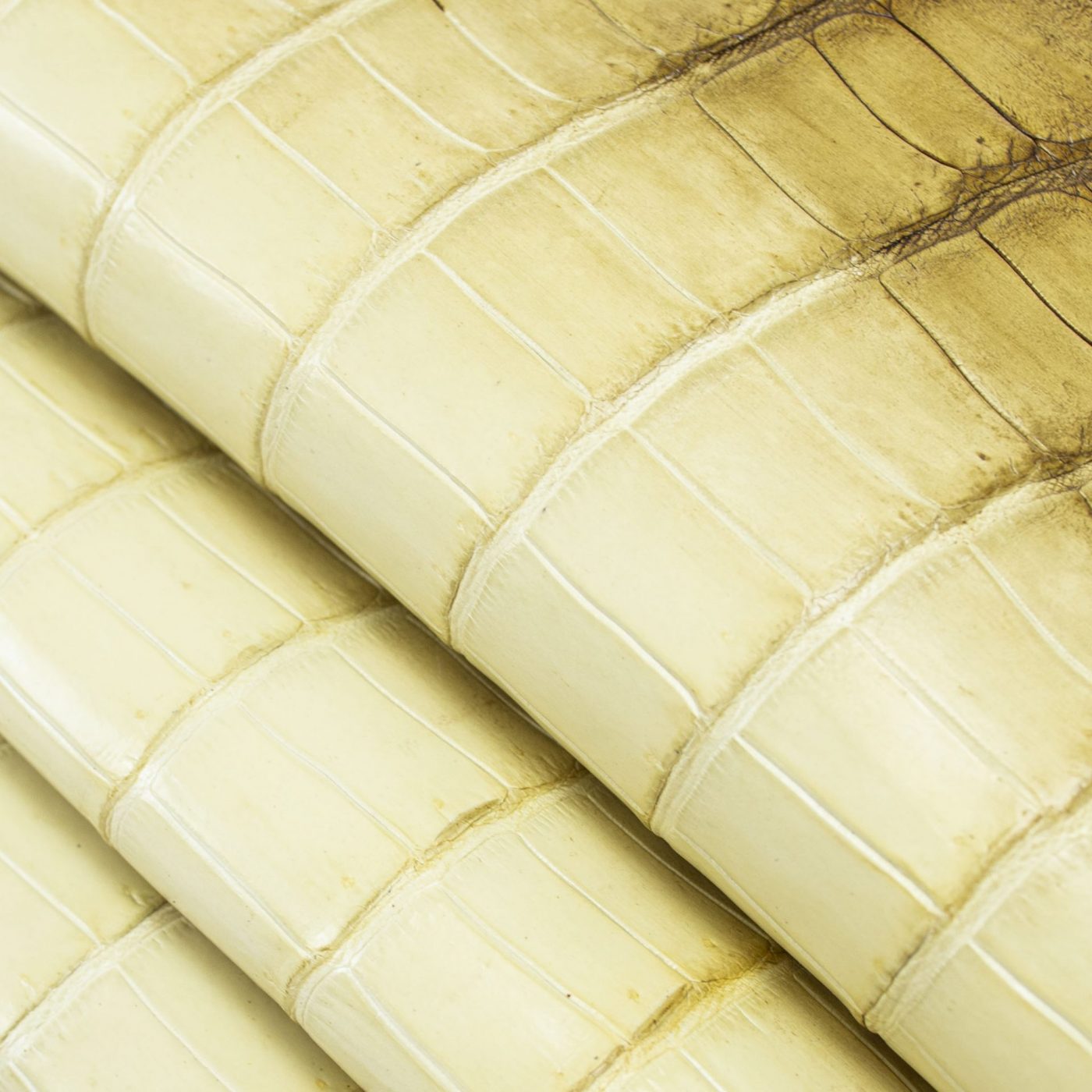 Песчаный кожаный. Крокодила песочного цвета. Текстура кожи. Кожа паттерн. Свиная кожа текстура.