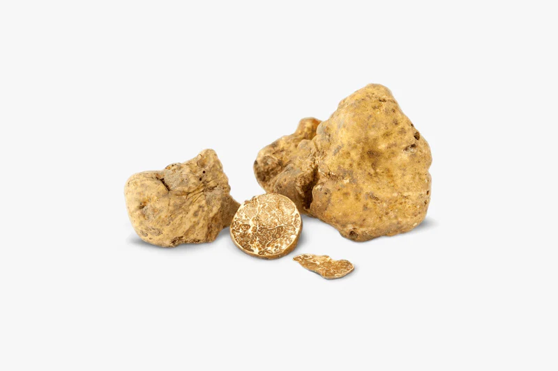Белый трюфель Tuber magnatum — фото 2