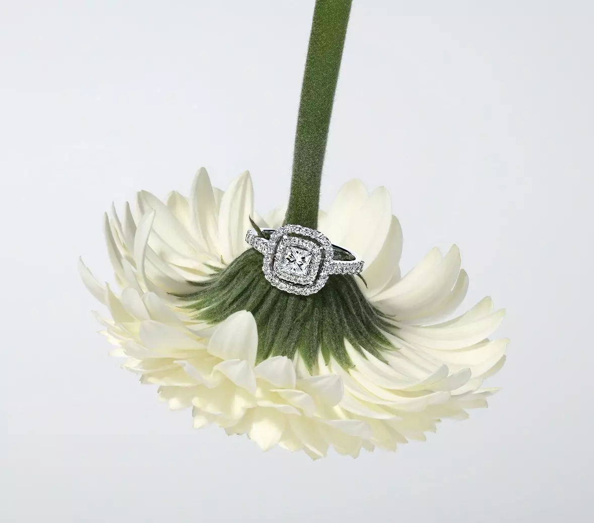 Ювелирное украшение BERLIANI с бриллиантами