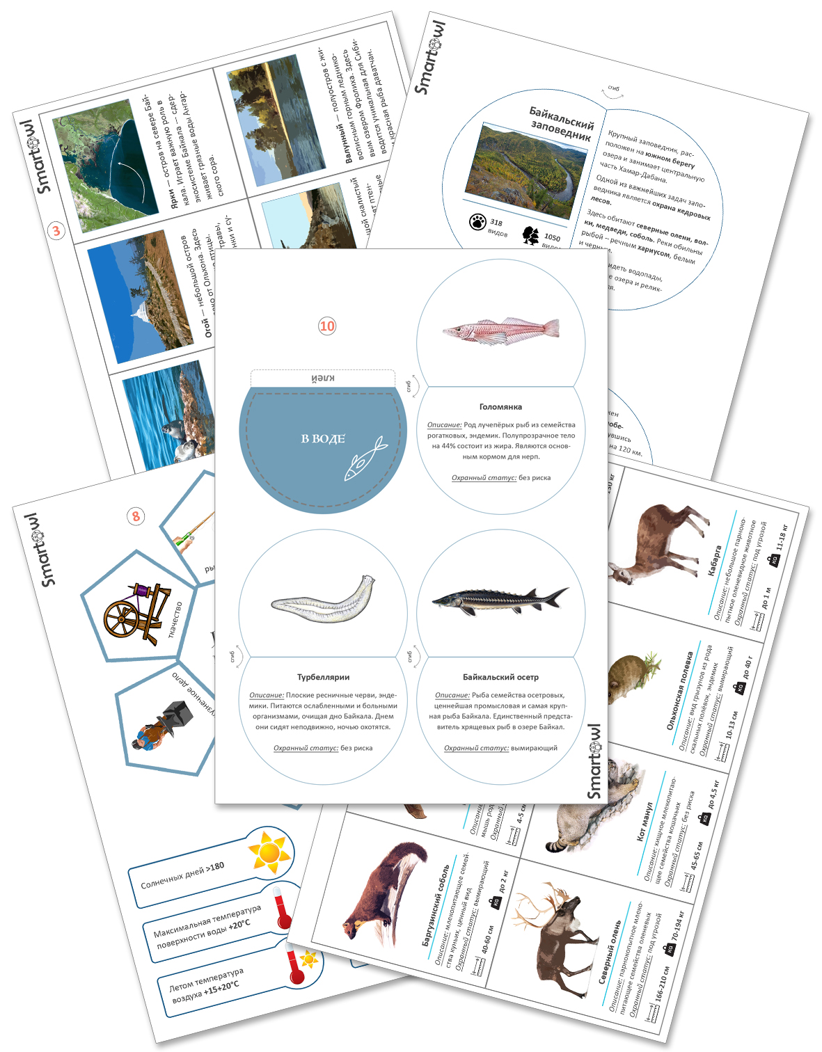 Лэпбук озеро байкал. Лэпбук озеро байкал. Лэпбук на тему озеро байкал. Лэпбук байкальская нерпа. Лэпбук озеро байкал.