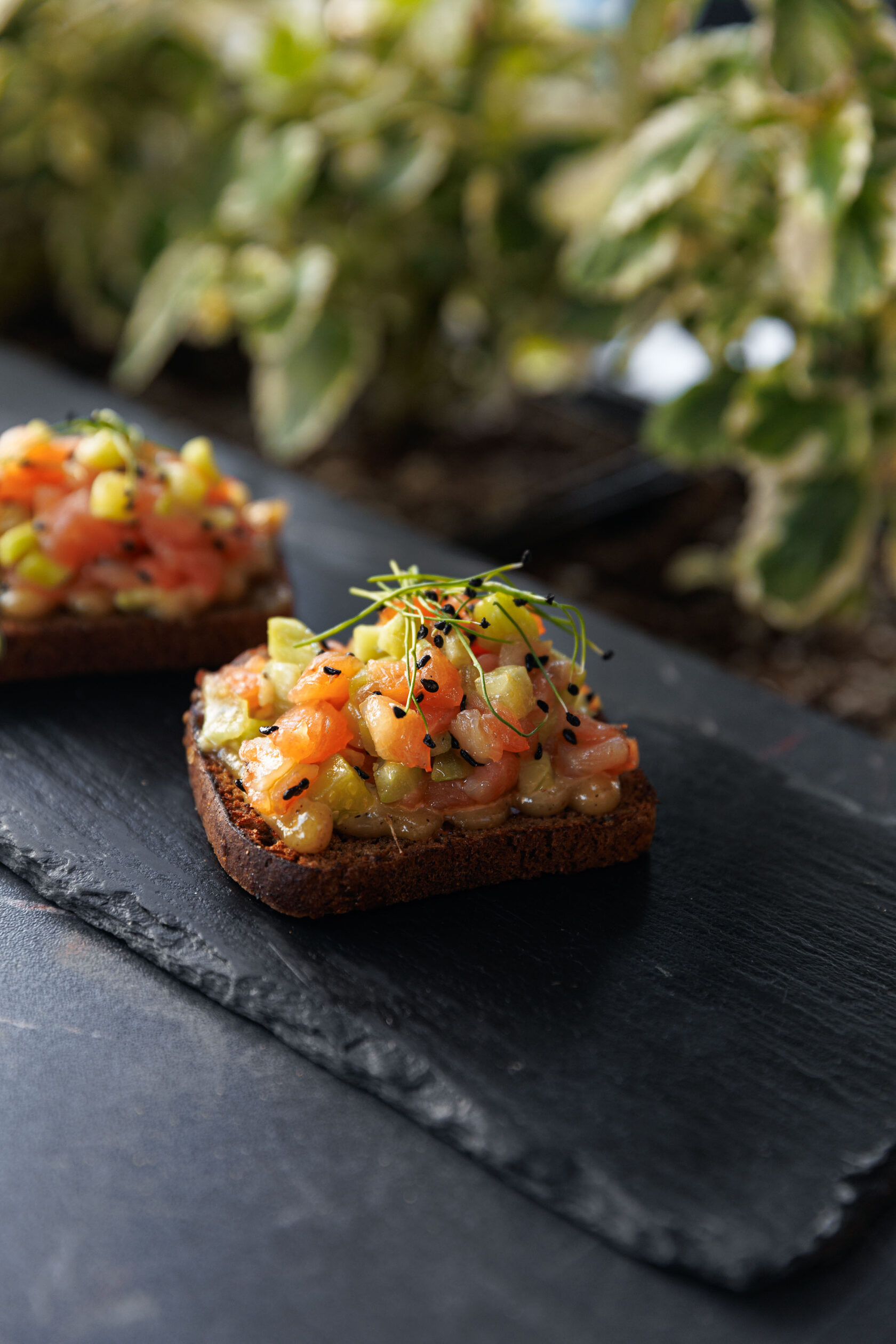 Сохо Саратов Фото