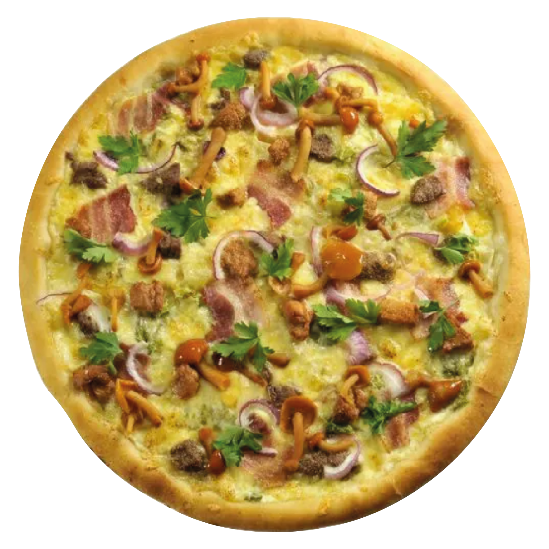 пицца грибная рецепт с опятами фото 89
