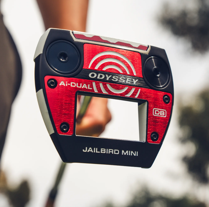 Паттер Odyssey Ai-DUAL Jailbird Mini